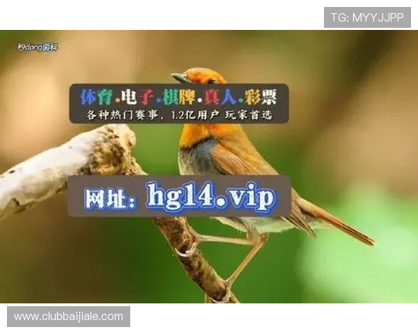 ag的官方网站是多少？官方平台的官方网址及其访问安全性分析