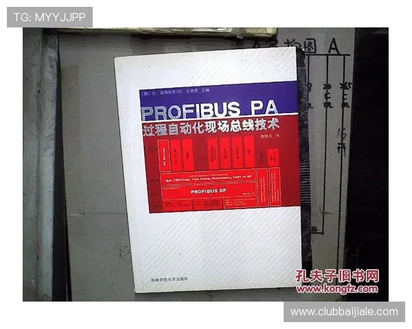 如何高效使用PA平台的在线入口实现工作流程的自动化与智能化