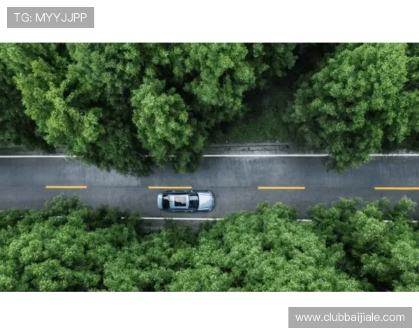 云顶官网优惠政策解读让你轻松享受更多实惠福利