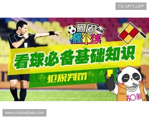 爱游戏体育最新版本登录遇到问题怎么办？详细解决方案帮你快速恢复正常使用