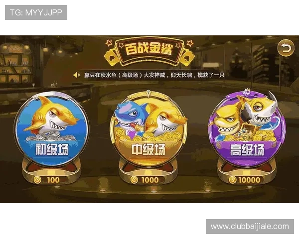 爱游戏真人app下载官网提供详细游戏攻略与技巧，帮助新手快速上手真人娱乐游戏